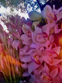 a bunch of pink flowers in a vase